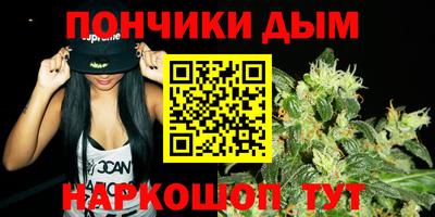 индика Жуковский